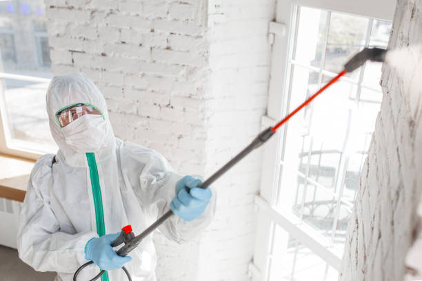 Best Indoor Air Quality Assessment  in Watervliet, NY
