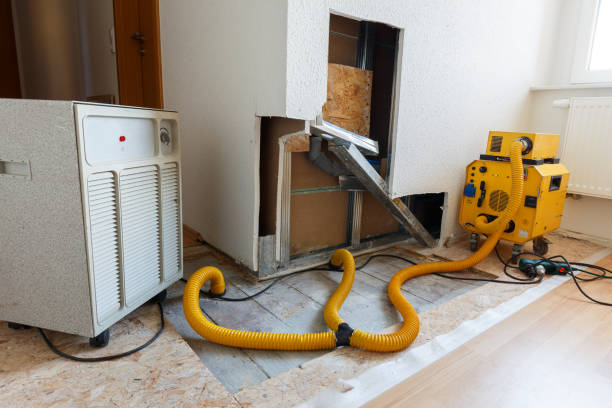 Best Mold Prevention Services  in Watervliet, NY