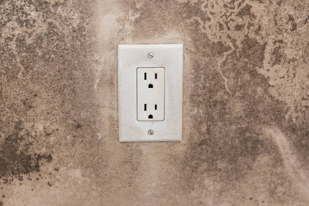 Best Mold Remediation for Rental Properties  in Watervliet, NY